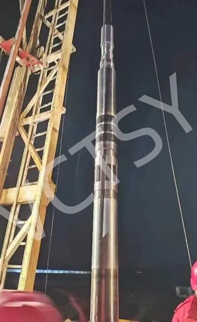 VCHP ซีรี่ส์ API 11D1 ของเครื่องบรรจุหีบห่อแรงดันสูงพิเศษ